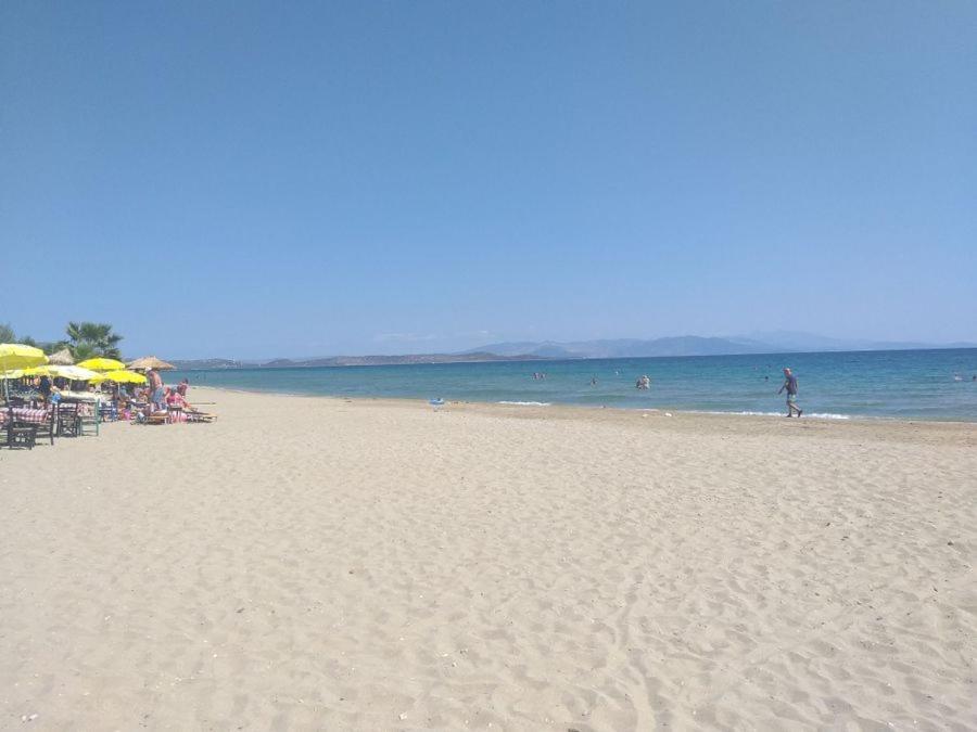 Palmar Club - Zenobia Вилла