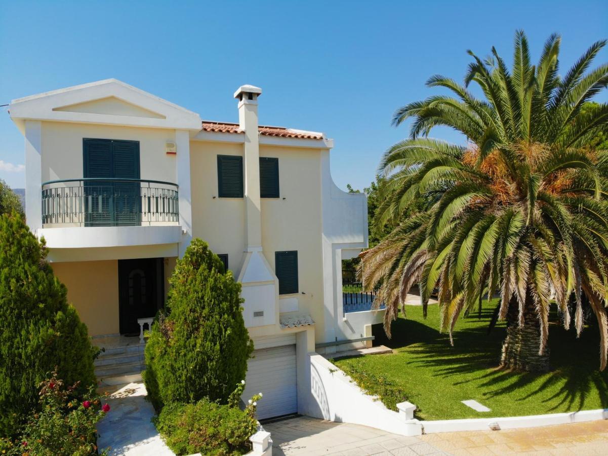 Palmar Club - Zenobia *