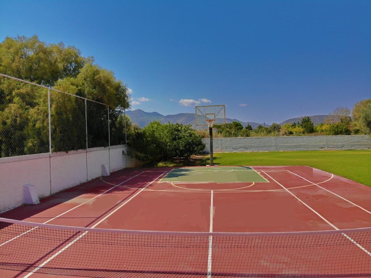 Palmar Club - Zenobia Vrana