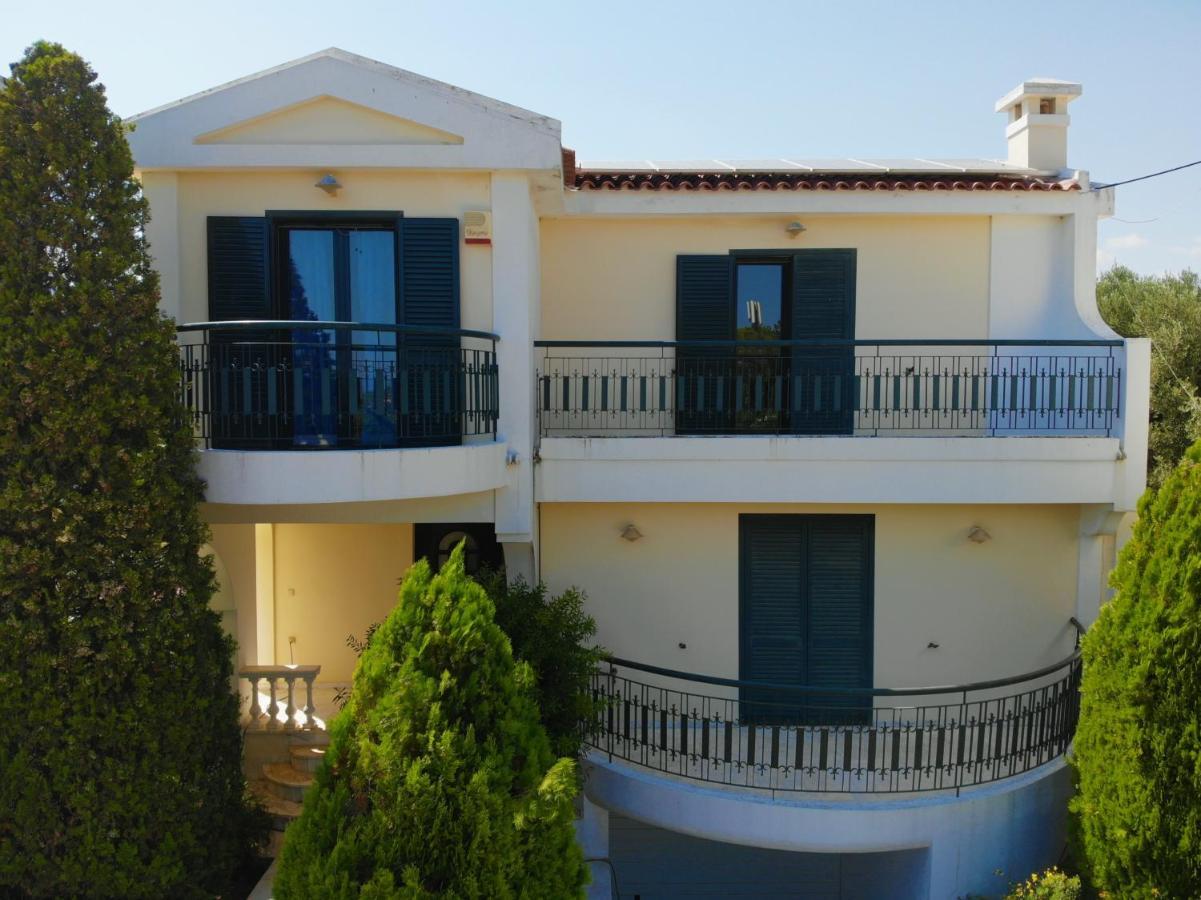 Palmar Club - Zenobia * Vrana