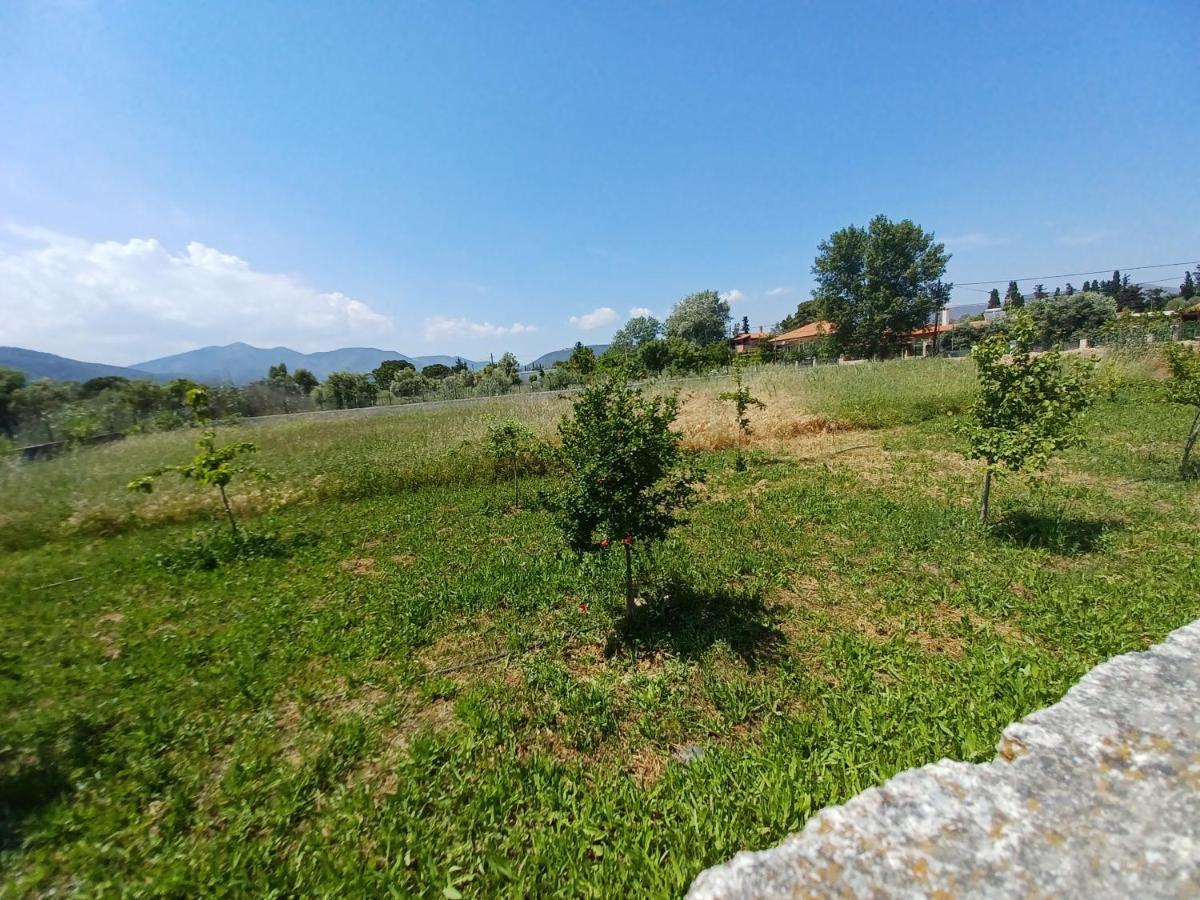 Palmar Club - Zenobia Вилла Vrana