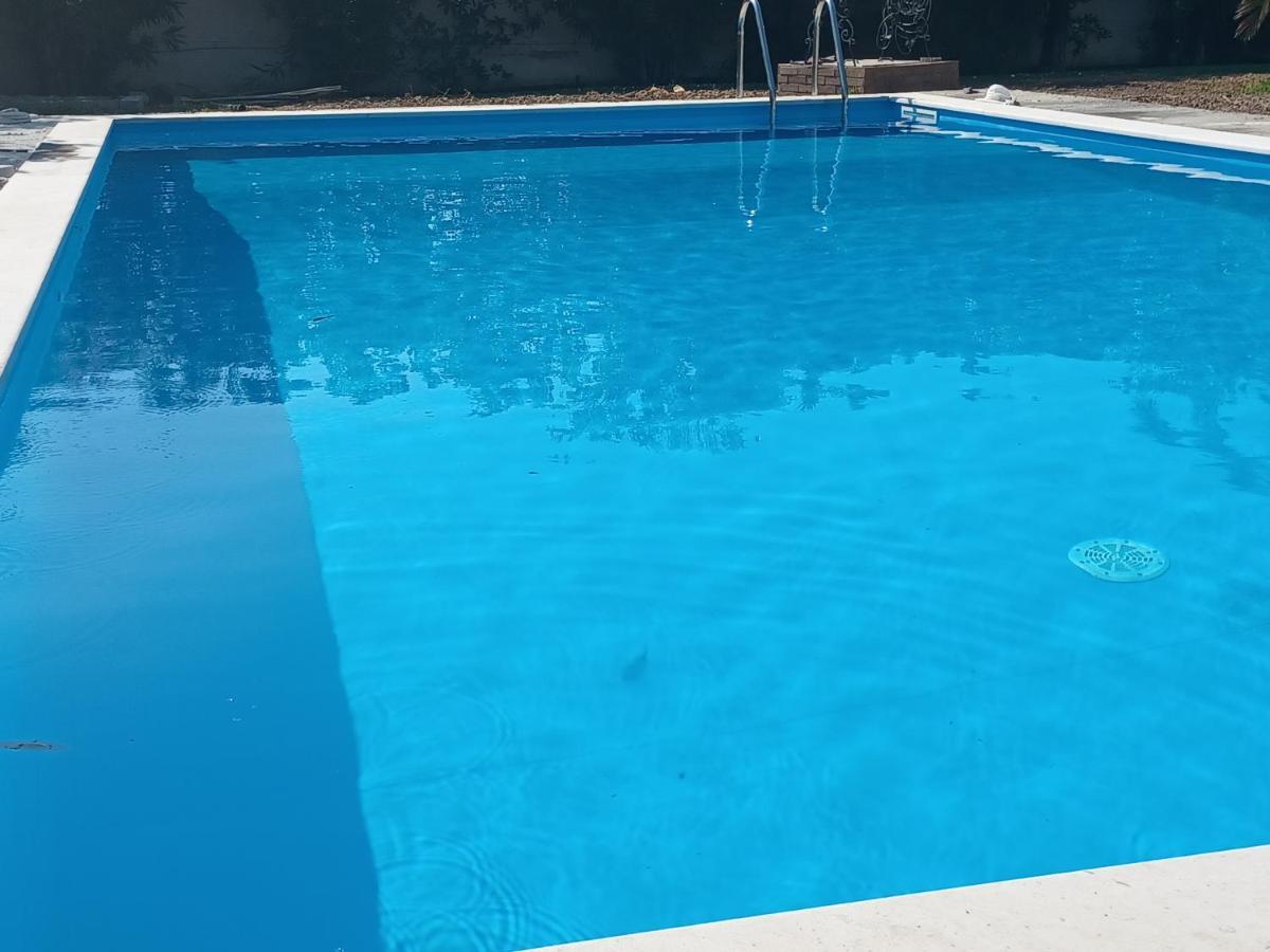 Palmar Club - Zenobia