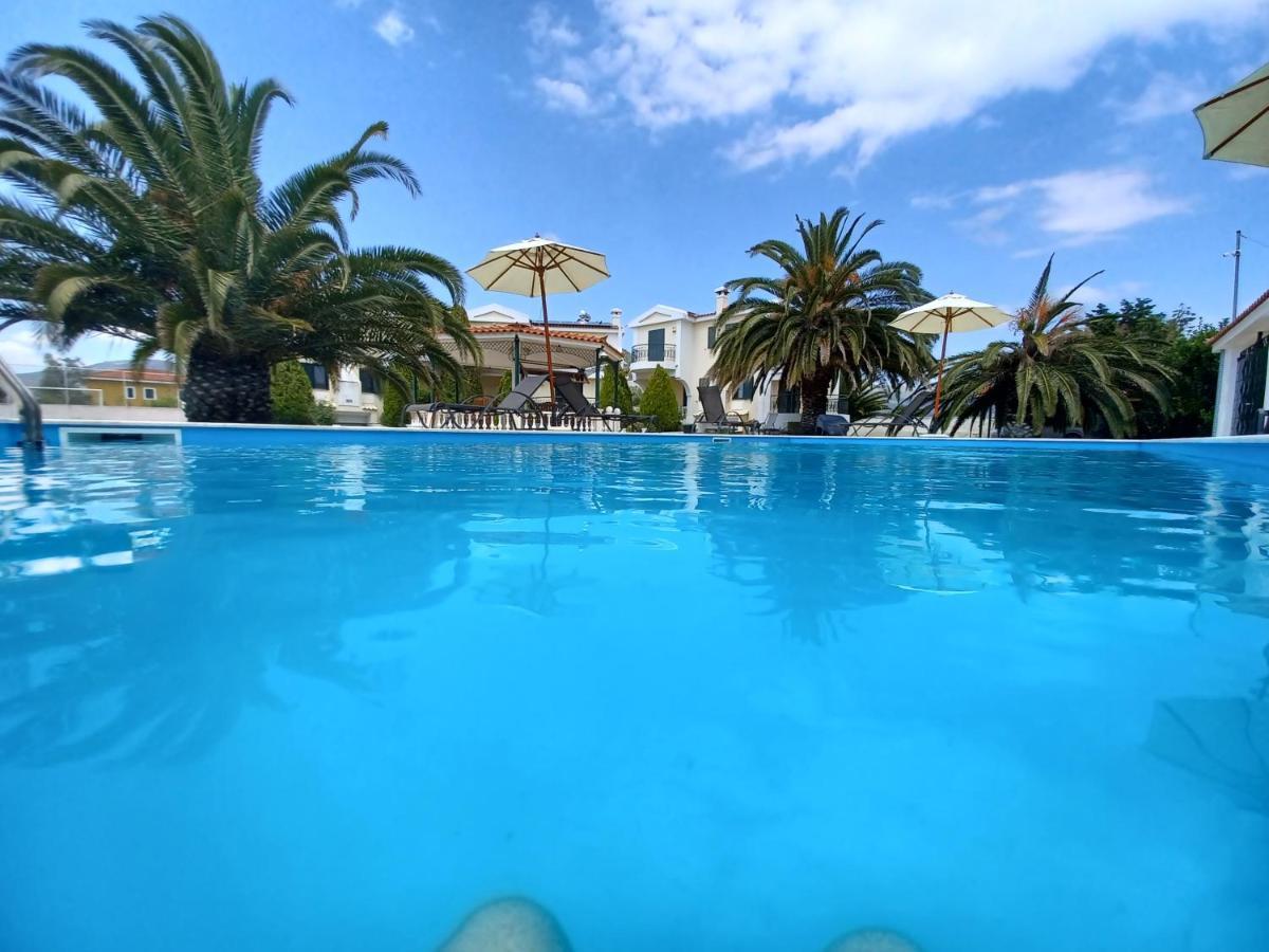 Palmar Club - Zenobia Vrana